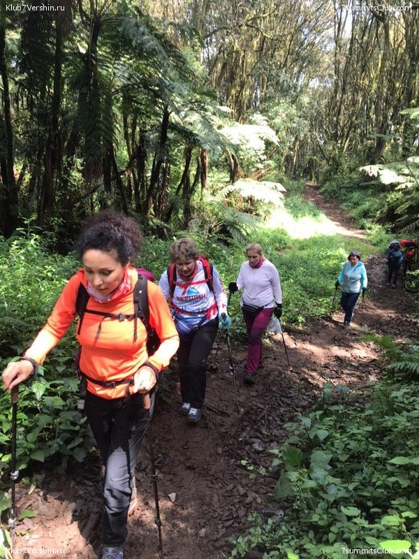 ������������. ���� 2019, ������ �����-���, ���� 68