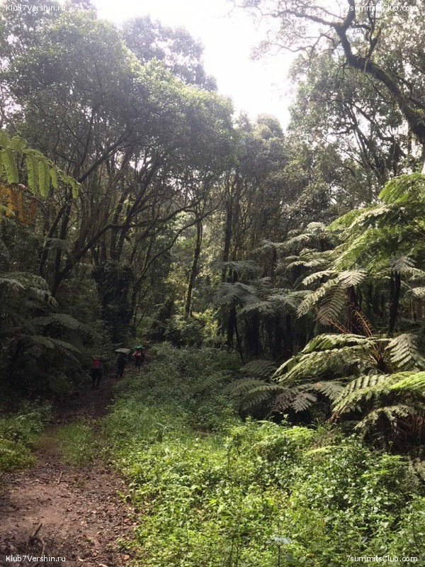 ������������. ���� 2019, ������ �����-���, ���� 69