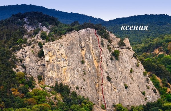 ��������, �������������� ��������, ���� 594