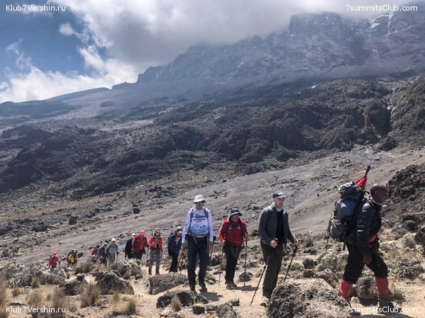 ������������. ���� 2019, ������ �����-���, ���� 2