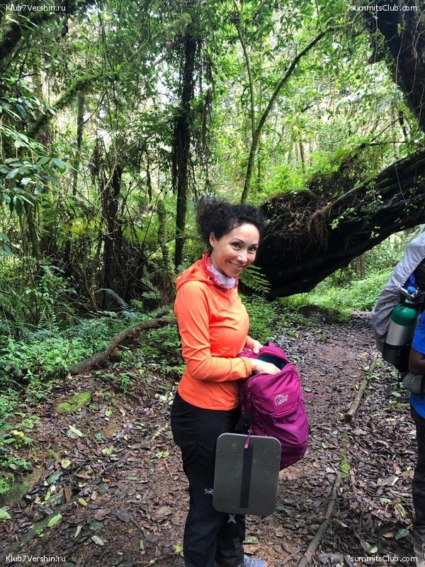 ������������. ���� 2019, ������ �����-���, ���� 75