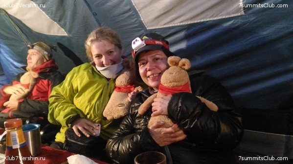 ������������. ���� 2019, ������ �����-���, ���� 1