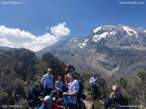 ������������. ���� 2019, ������ �����-���, ���� 49