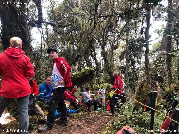 ������������. ���� 2019, ������ �����-���, ���� 50