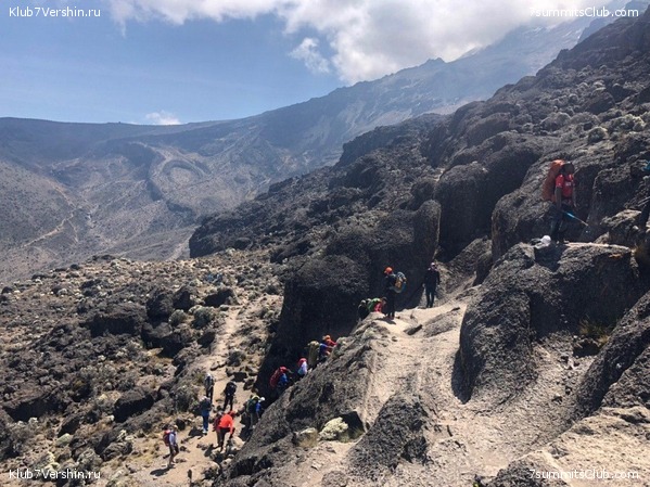 ������������. ���� 2019, ������ �����-���, ���� 9