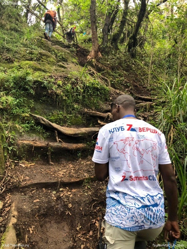 ������������. ���� 2019, ������ �����-���, ���� 77