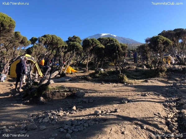 ������������. ���� 2019, ������ �����-���, ���� 10