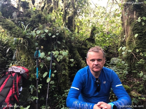 ������������. ���� 2019, ������ �����-���, ���� 53