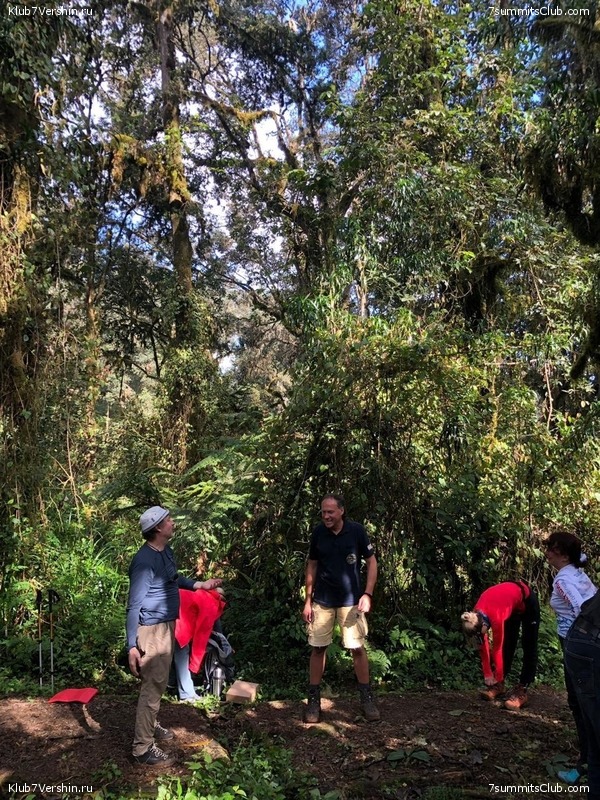 ������������. ���� 2019, ������ �����-���, ���� 79