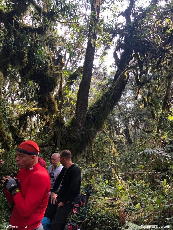 ������������. ���� 2019, ������ �����-���, ���� 80