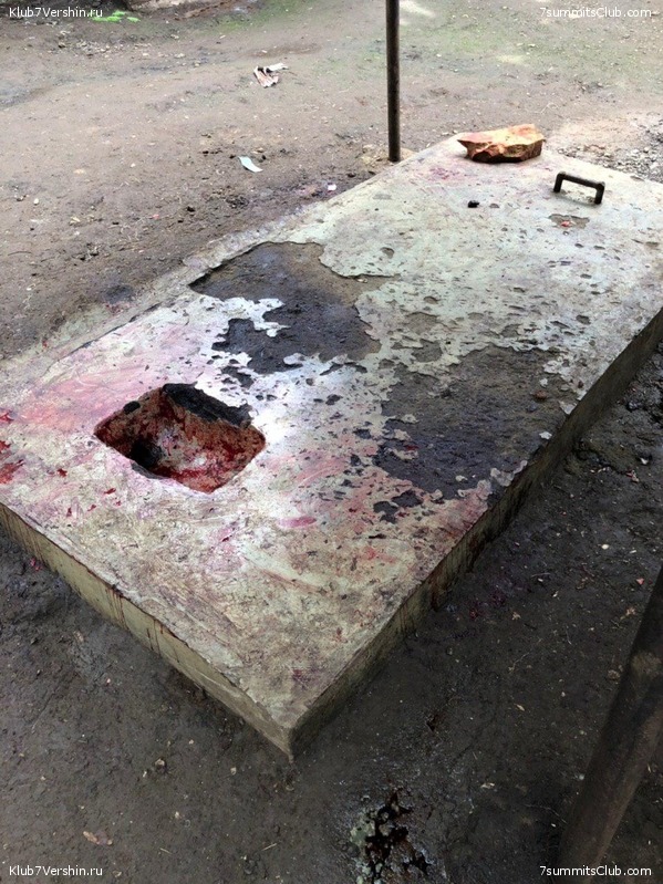 ������������. ���� 2019, ������ �����-���, ���� 81