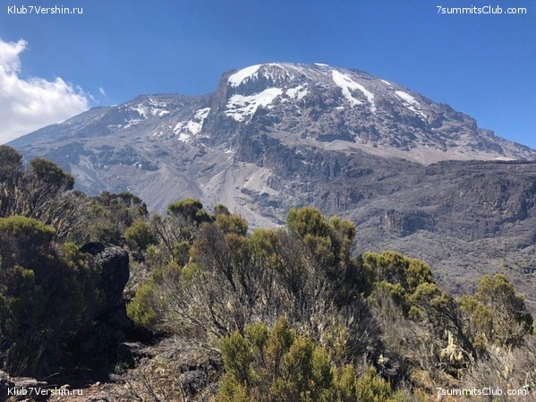 ������������. ���� 2019, ������ �����-���, ���� 14