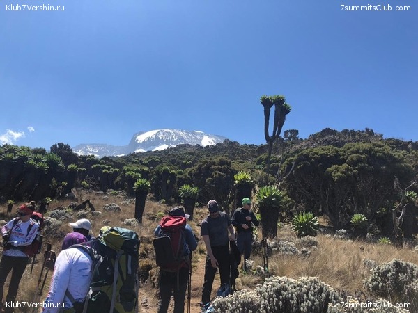 ������������. ���� 2019, ������ �����-���, ���� 54