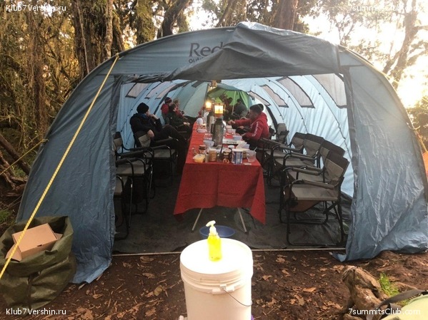 ������������. ���� 2019, ������ �����-���, ���� 16