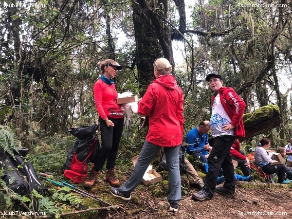 ������������. ���� 2019, ������ �����-���, ���� 57