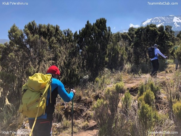 ������������. ���� 2019, ������ �����-���, ���� 59