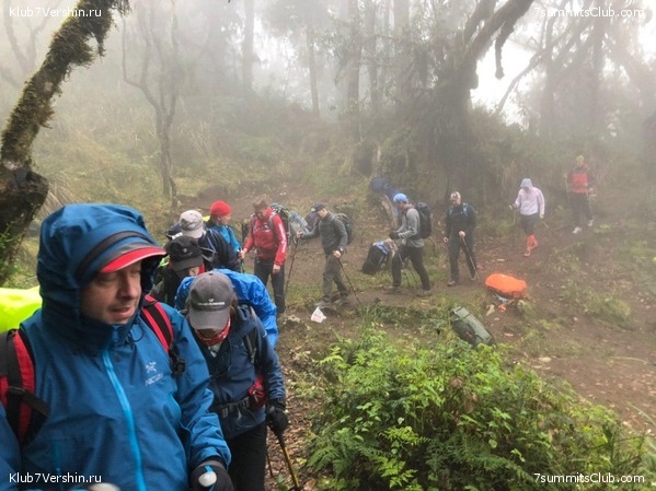 ������������. ���� 2019, ������ �����-���, ���� 22