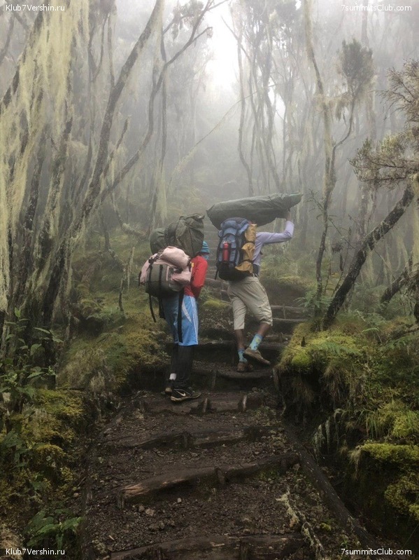 ������������. ���� 2019, ������ �����-���, ���� 88