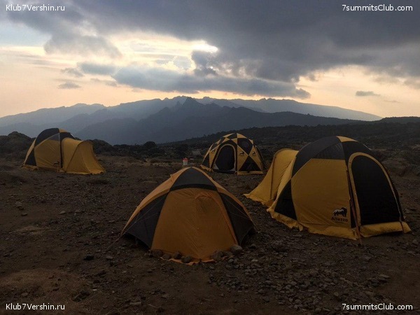 ������������ 2019 ���� - �������, ���� 5