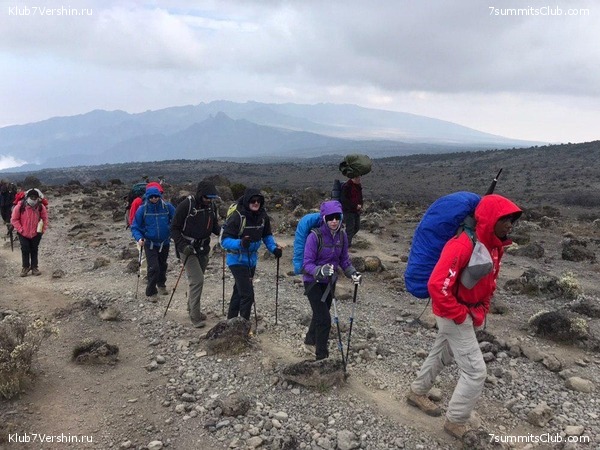 ������������ 2019 ���� - �������, ���� 7