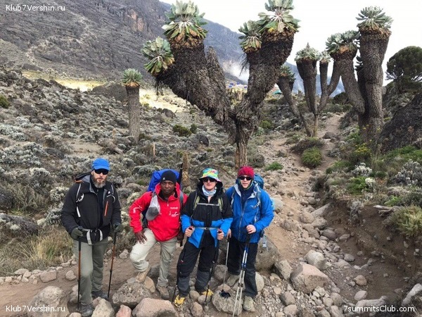 ������������ 2019 ���� - �������, ���� 9