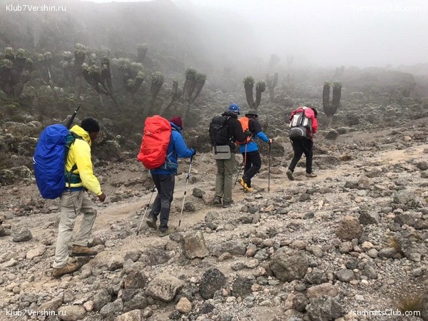 ������������ 2019 ���� - �������, ���� 12