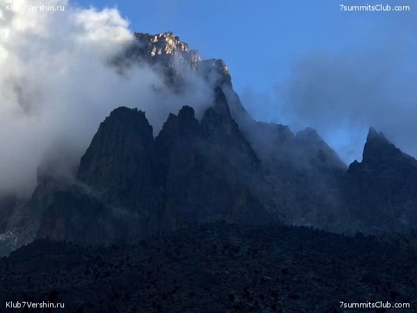 ����� 2019, ���� 7