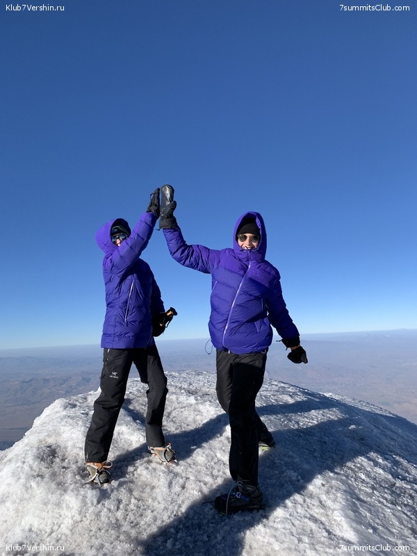 ������, ���� 113