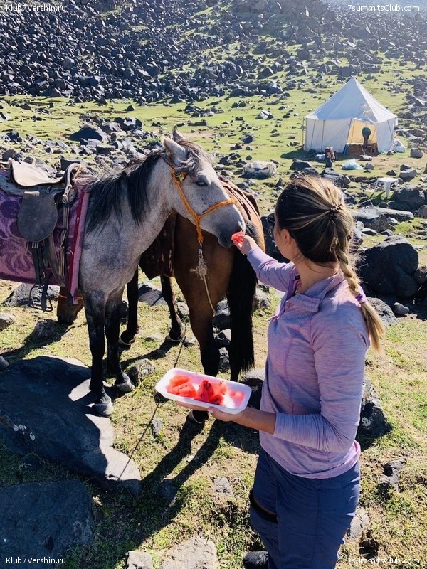 ������, ���� 114