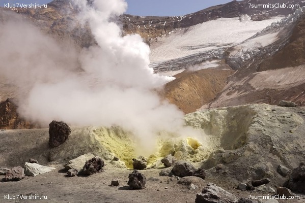 �������� 2019, ���� 5