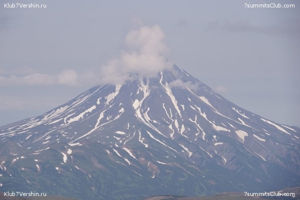 �������� 2019, ���� 8