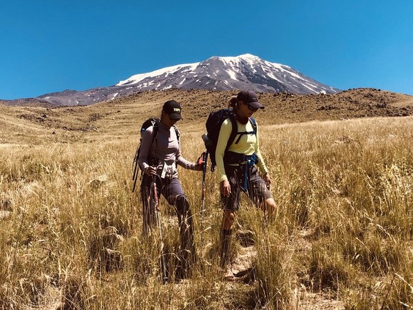 ��������, �������������� ��������, ���� 1407