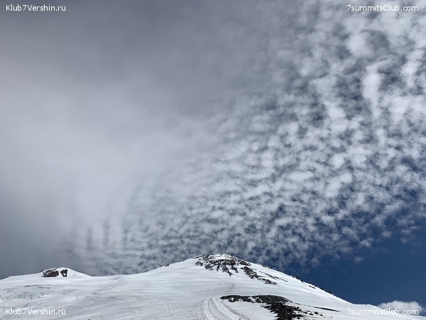 ������� 2019. ������. ����� 1, ���� 123