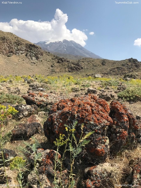 ������ 2019, ���� 74