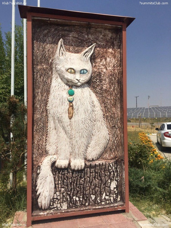 ������ 2019, ���� 79