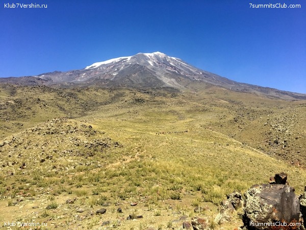 ������, ���� 91