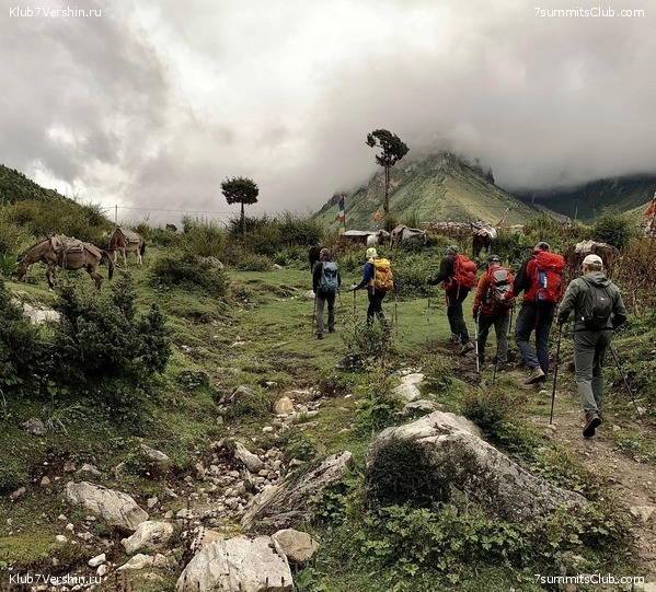 ������� 2019. ����� 1, ���� 163