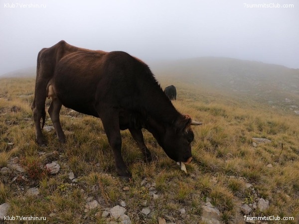 �������. ������ 2019. ����� 2. � ��������, ���� 60