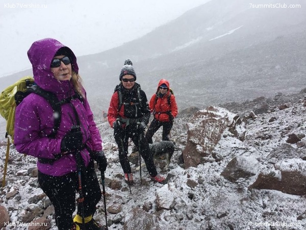 ������ - 2019. ����� ���������, ���� 81