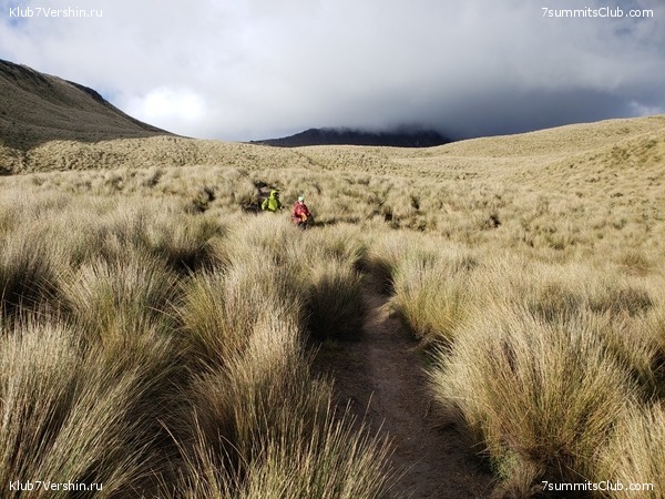 ������� 4786 �, ����������� � ��������