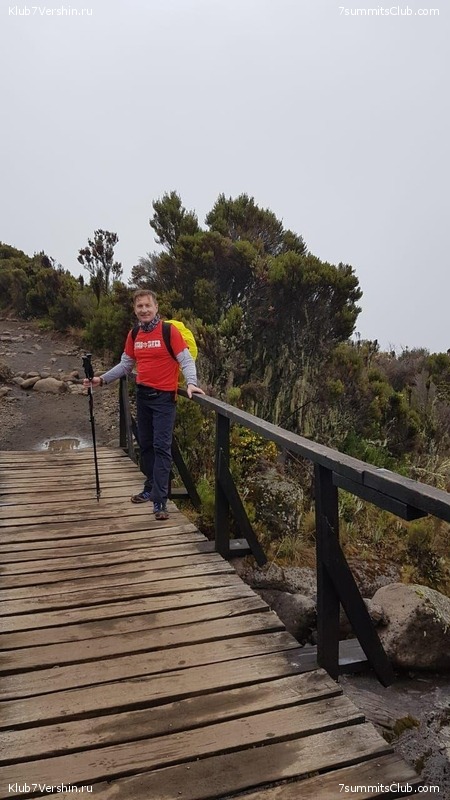 ������������. ������. �������� 2019 ����, ���� 84