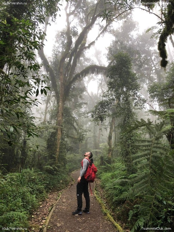 ������������. ������. �������� 2019 ����, ���� 69