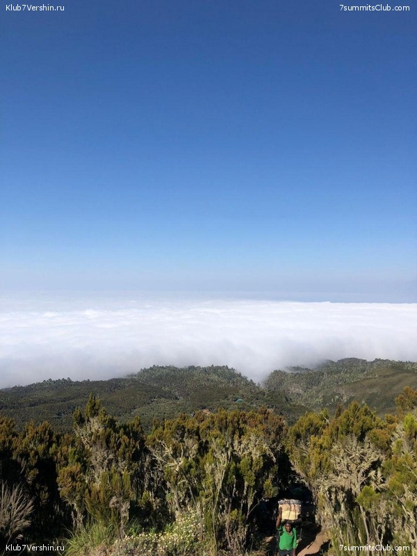 ������������. ������. �������� 2019 ����, ���� 71