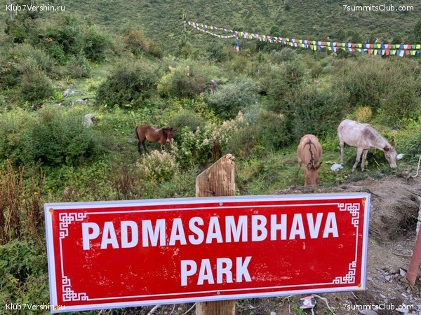 ������� 2019. ����� 2, ���� 12