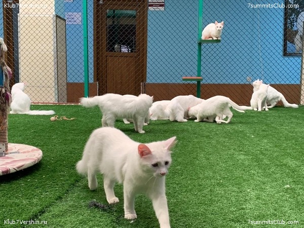 ������ 2019. �. � �. ��������, ���� 9