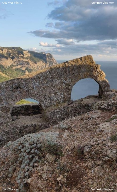 ����. ����� 2019, ��������� �������, ���� 123