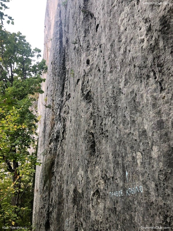 ����. ����� 2019, ��������� �������, ���� 88