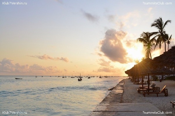 2018 - 2019 ������, ���� 23