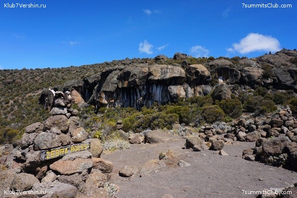 ������������. ������. �������� 2019 ����, ���� 16