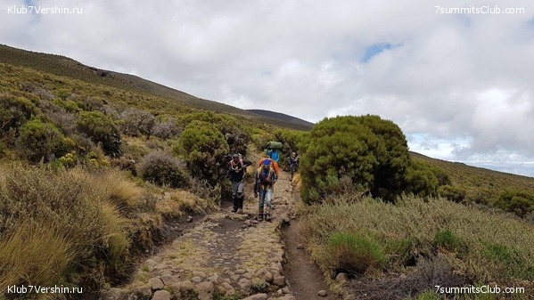 ������������. ������. �������� 2019 ����, ���� 3